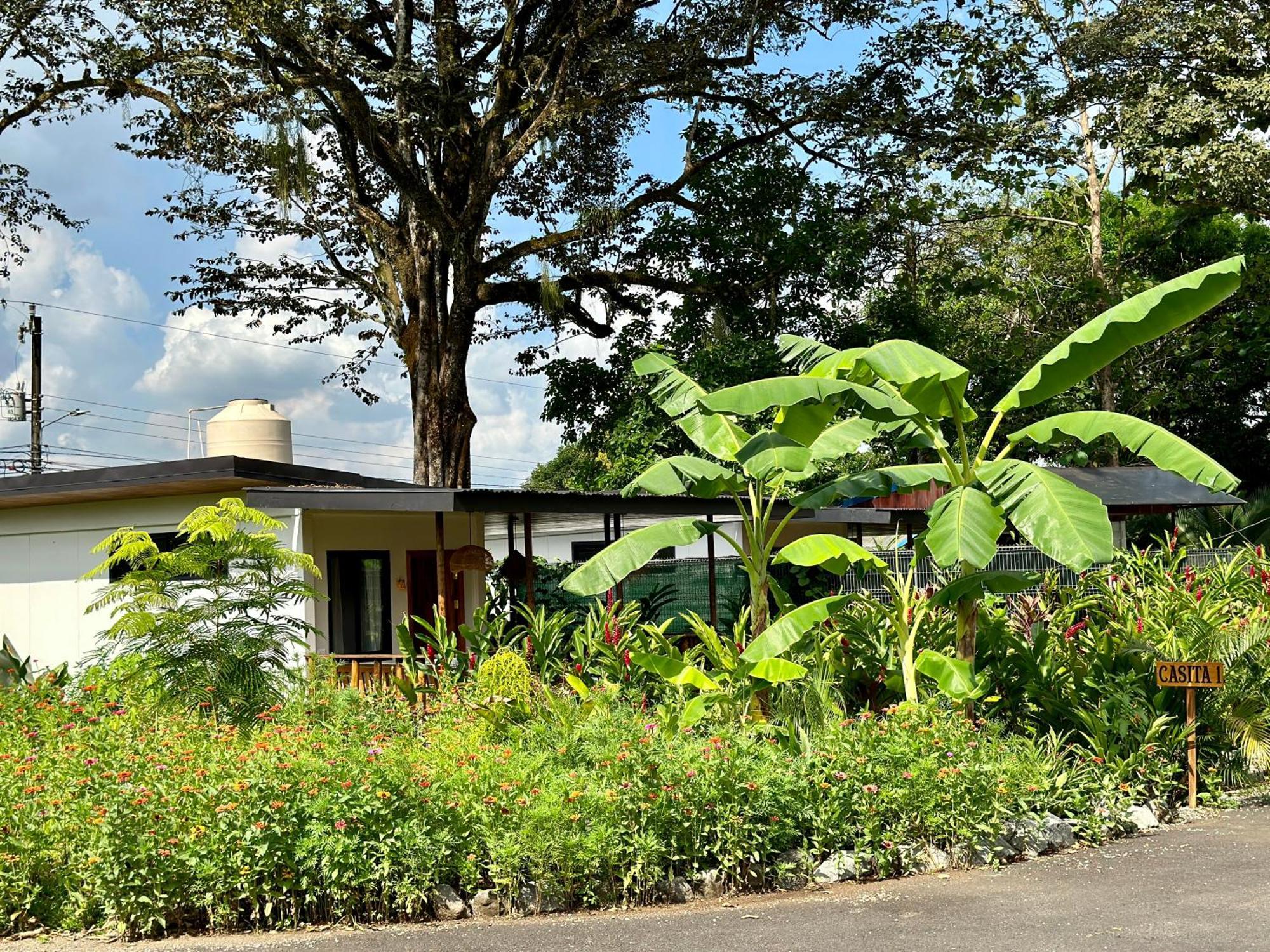 Almendros Eco-Villas La Fortuna Extérieur photo