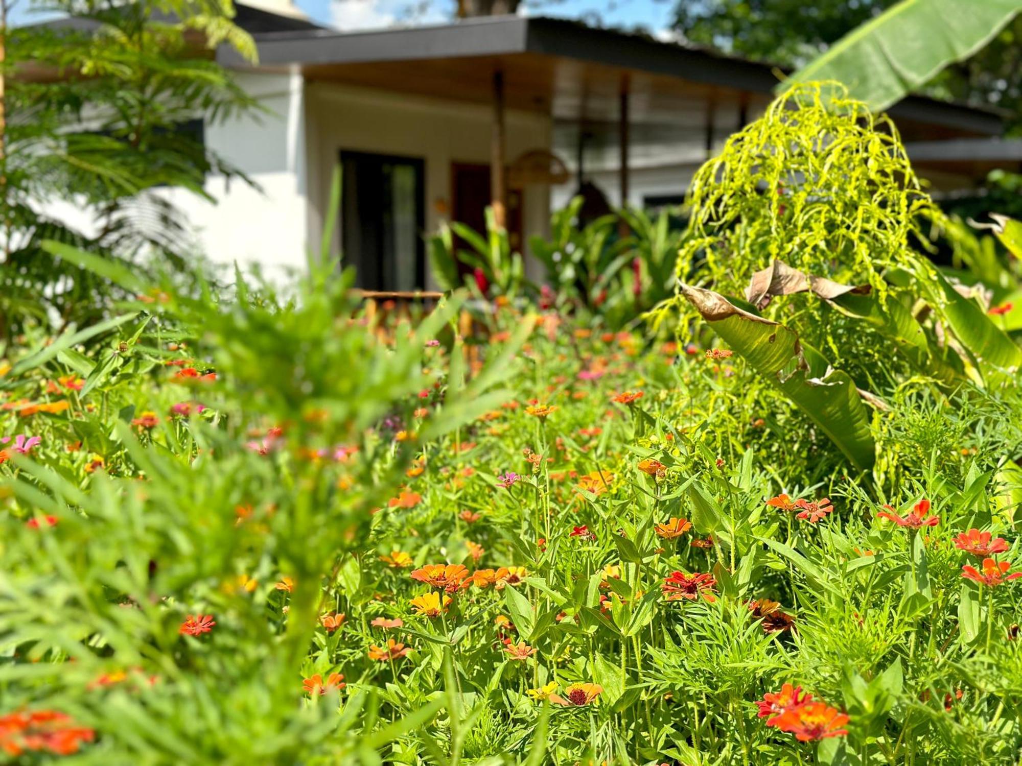 Almendros Eco-Villas La Fortuna Extérieur photo
