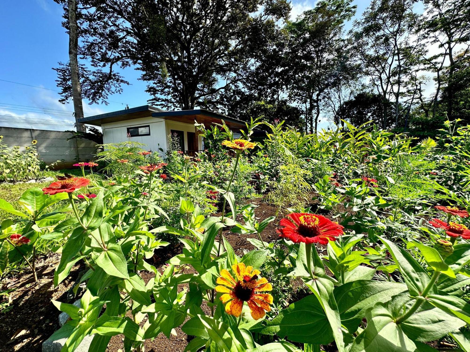 Almendros Eco-Villas La Fortuna Extérieur photo